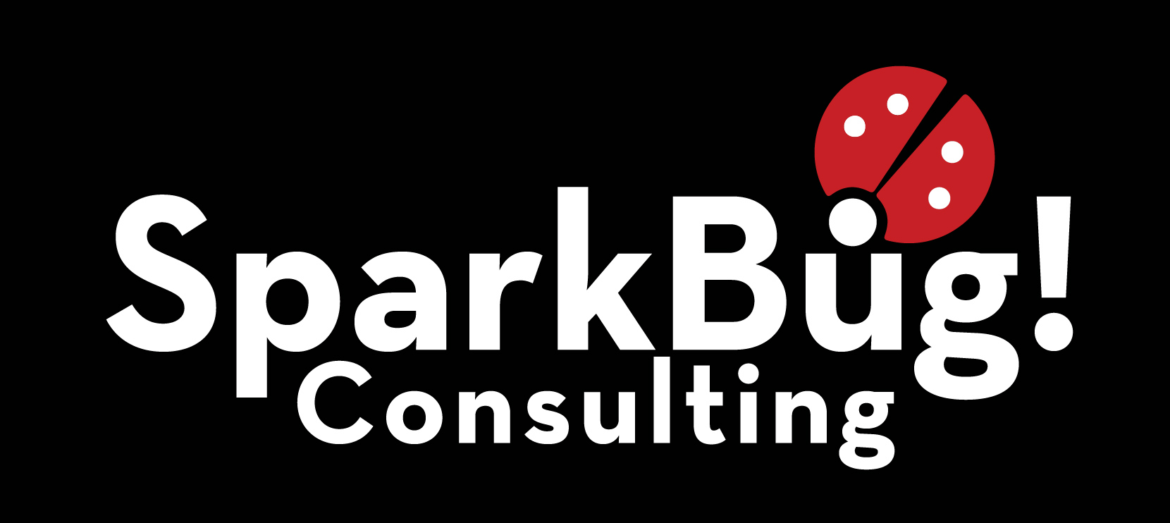 SparkBug Consulting
